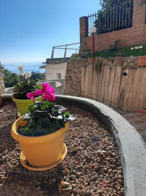 Torre Del Meridiano Casa Vacanze Centrale Termoli Exterior foto